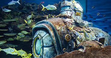 浮游植物检测样品沉积与浓缩的办法你都了解吗？