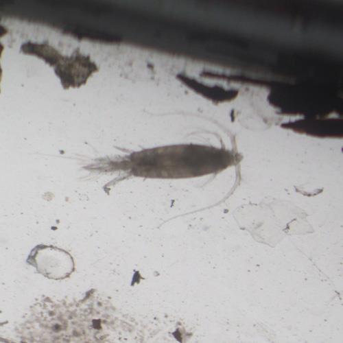 水生物检测机构